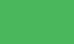 Variante colore Pantone - 361