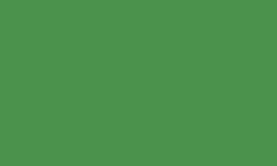 Variante colore Pantone - 363