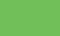 Variante colore Pantone - 368