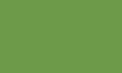 Variante colore Pantone - 377