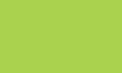 Variante colore Pantone - 382