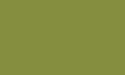 Variante colore Pantone - 384