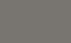 Variante colore Pantone - 403
