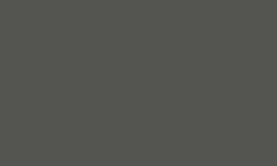 Variante colore Pantone - 405