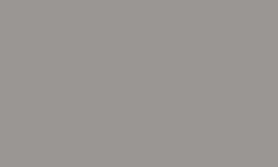 Variante colore Pantone - 407