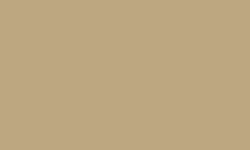 Variante colore Pantone - 7502