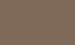 Variante colore Pantone - 7504
