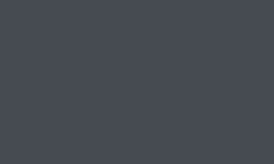 Variante colore Pantone - Cool Grey 11