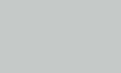 Variante colore Pantone - Cool Grey 1