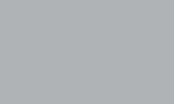 Variante colore Pantone - Cool Grey 3