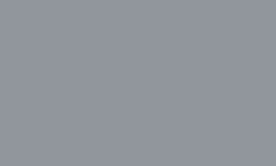 Variante colore Pantone - Cool Grey 6