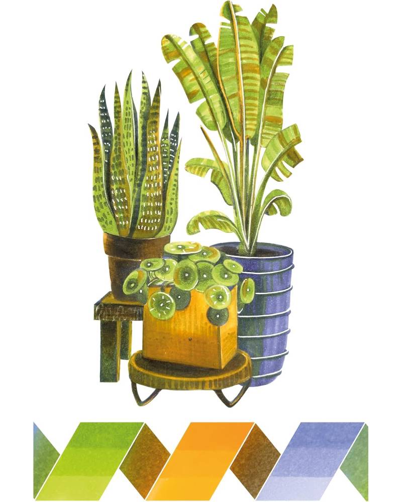 Copic Ciao Marker Set Botanic Palette - 5