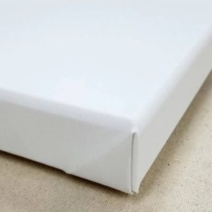 Pieraccini Tela per Dipingere Linea Basic 42 Extrafine - 3