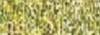 Variante colore 07 GIALLO ORO