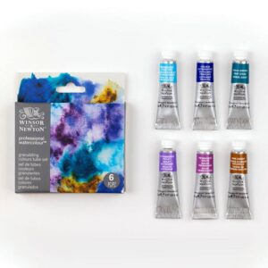 Set Acquerelli Winsor & Newton – Foundation Professional Watercolour - 5
