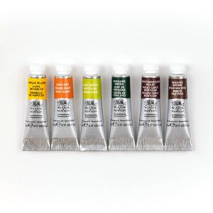 Set Acquerelli Winsor & Newton Professional – Rich Earth - 4