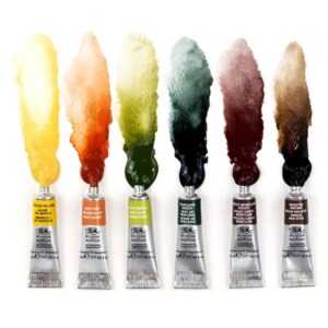 foto di Set Acquerelli Winsor & Newton Professional - Rich Earth