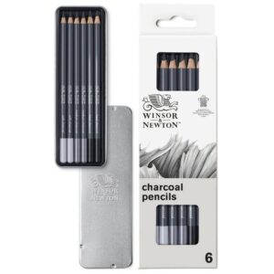 Set 6 Matite Carboncino Winsor & Newton Astuccio con Matite - 4