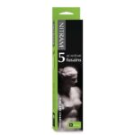 Set 5 carboncini Nitram B 5 mm