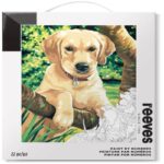 Confezione Colori Acrilici Guidata “Labrador Dog” – Reeves
