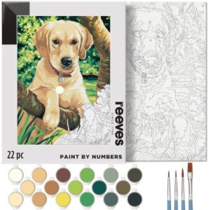 Foto_Di_Confezione_Colori_Acrilici_Guidata_“Labrador_Dog”_Reeves_D