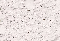 Variante colore Bianco di zinco 110 g - GP2