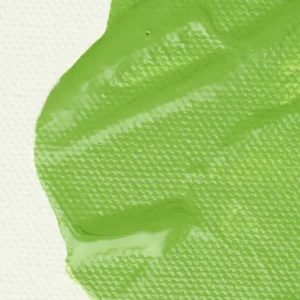 Foto_di_medium_satinato_per_acrilici_237ml_liquitex_2