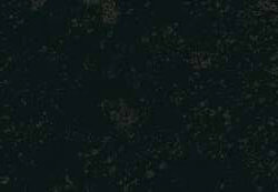 Variante colore Nero Marte 180 g - GP2