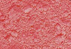 Variante colore Rosso vermiglione 100 g - GP2