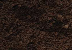 Variante colore Terra d'ombra naturale 120 g - GP1