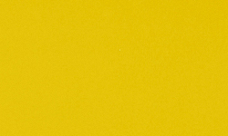Variante colore Dente di Leone
